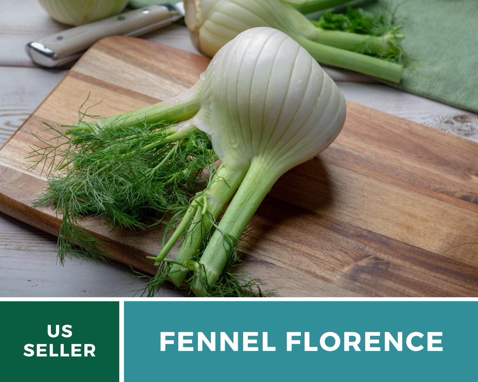 Fennel Florence 200 Seeds Medicinal & Culinary Herb Etsy