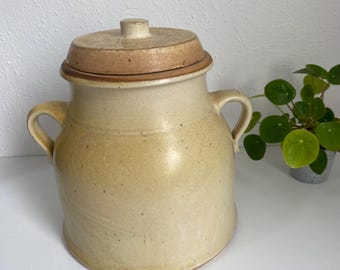 Barattolo in ceramica con coperchio e doppi manici＊Contenitore in ceramica con coperchio e doppi manici＊