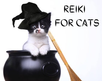 Distant Reiki for Cats, Remote Reiki for Cats