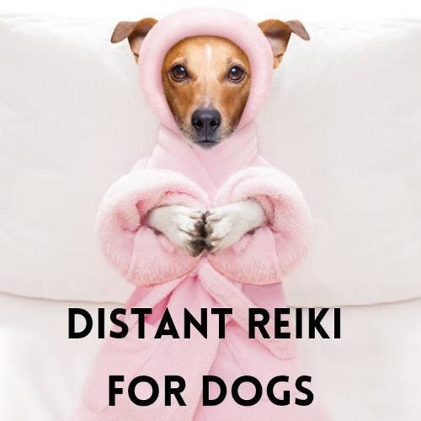 Distant Reiki for Dogs, Remote Reiki for Dogs