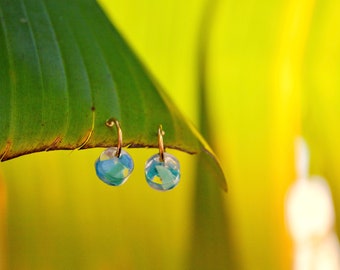 Tortuga Micro Hoop Small Earrings