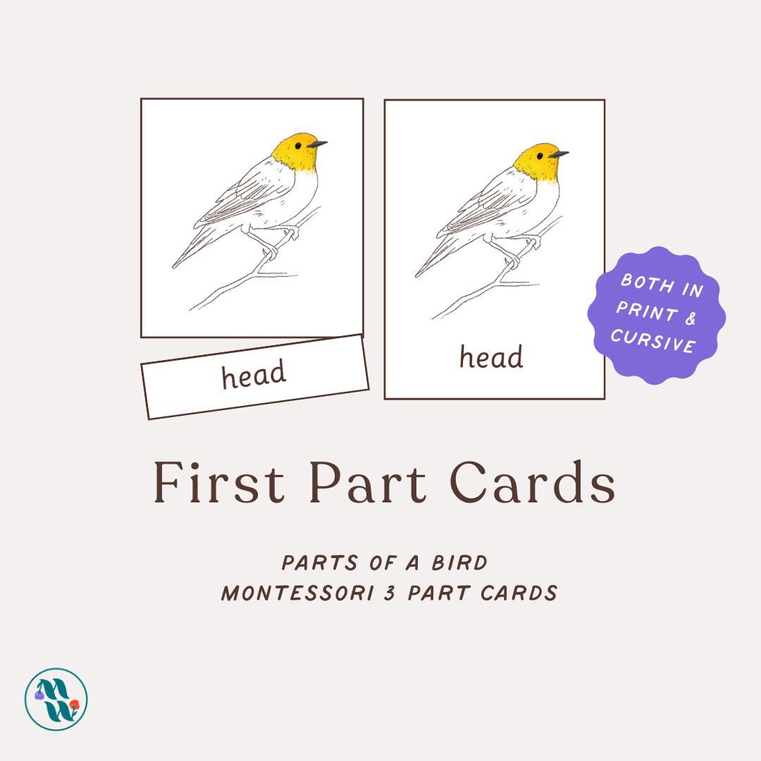 Montessori Parts of a Bird Printable | First 3 Part Nomenclature Cards ...