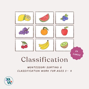 May include: A set of 54 fruit classification cards for ages 3-6. The cards feature hand-drawn illustrations of various fruits, including a lemon, watermelon, blueberries, grapes, an orange, an apple, cherries, bananas, and kiwi. The word "Classification" is written in a brown font.