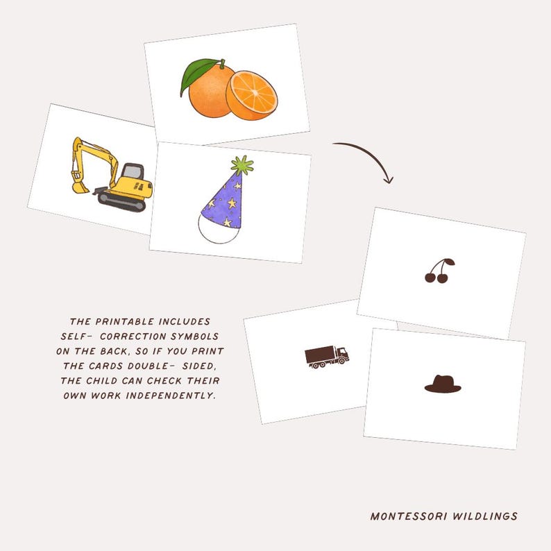 Classification Cards Printable | Montessori Language & Logic Activity ...