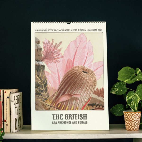 Marine Calendar 2024 Etsy
