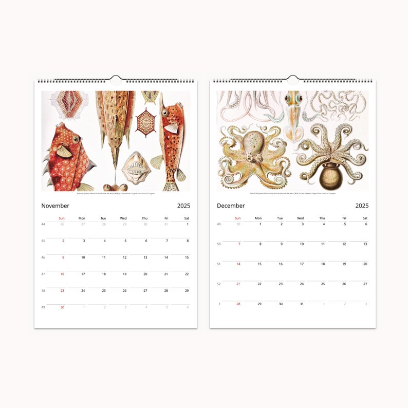 November and December 2025 calendar art with Ernst Haeckel vintage illustrations of fish and octopus in high detail.