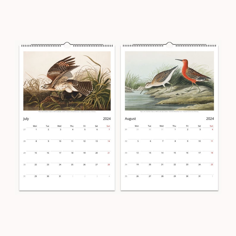 2024 Wall Calendar by John James Audubon the Birds of America Etsy