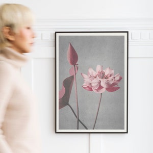 Kazumasa Ogawa Flower Art Print | Vintage Japanese Lotus Blossom Wall Decor | Elegant Home Accent | Art Collector Gift