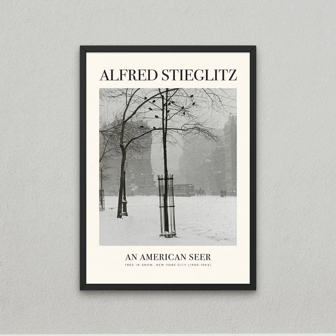 洋書 ALFRED STIEGLITZ Alfred Stieglitz: An American Seer | Alfred STIEGLITZ