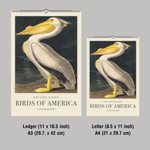 Peut inclure: Deux calendriers avec une illustration vintage d'un p&eacute;lican tir&eacute;e de "Birds of America" de John James Audubon. Les calendriers, intitul&eacute;s "Calendrier 2027", sont disponibles en formats A3 (29,7 x 42 cm) et A4 (21 x 29,7 cm), avec une image d&eacute;taill&eacute;e d'oiseau.