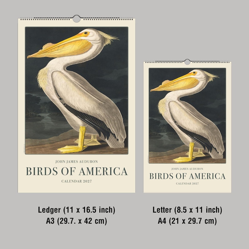 Peut inclure: Deux calendriers avec une illustration vintage d'un p&eacute;lican tir&eacute;e de "Birds of America" de John James Audubon. Les calendriers, intitul&eacute;s "Calendrier 2027", sont disponibles en formats A3 (29,7 x 42 cm) et A4 (21 x 29,7 cm), avec une image d&eacute;taill&eacute;e d'oiseau.