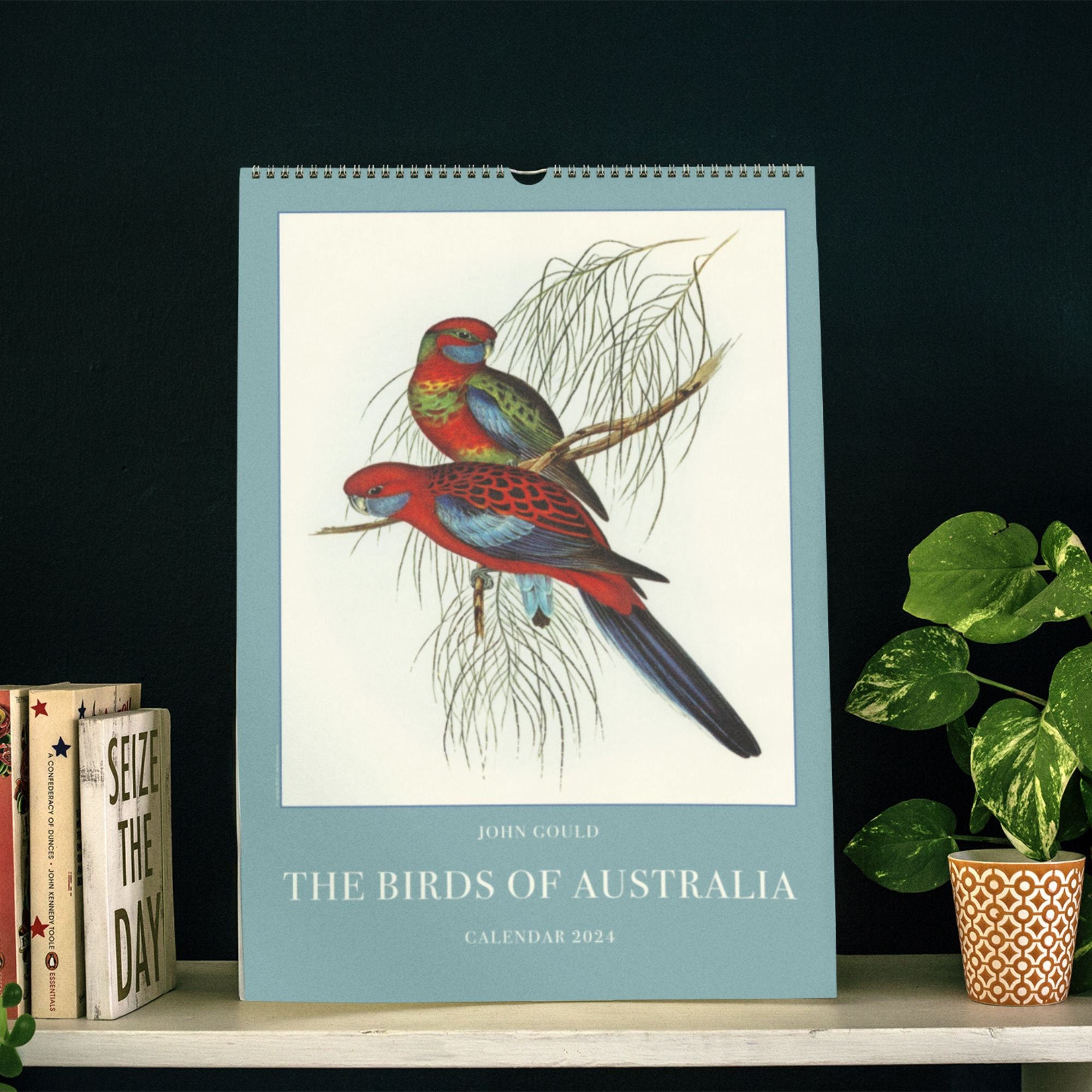 Natural History Bird Print - Etsy Canada
