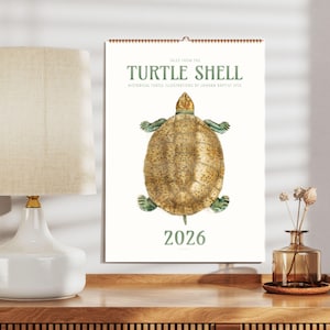 Calendario da parete "Salviamo le tartarughe" - Specie in via di estinzione, regalo per scienziati, carta semilucida