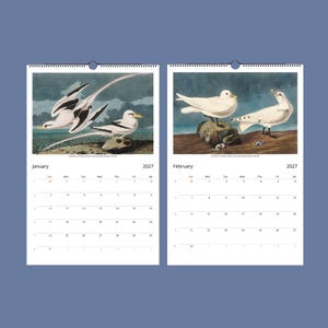 Peut inclure: Calendrier mural 2027 ouvert sur janvier et f&eacute;vrier. Chaque page pr&eacute;sente des illustrations d&eacute;taill&eacute;es d'oiseaux. La page de janvier montre des oiseaux noirs et blancs. La page de f&eacute;vrier montre des oiseaux blancs. Fond bleu.
