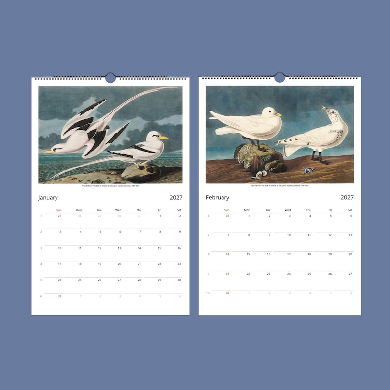 Peut inclure: Calendrier mural 2027 ouvert sur janvier et f&eacute;vrier. Chaque page pr&eacute;sente des illustrations d&eacute;taill&eacute;es d'oiseaux. La page de janvier montre des oiseaux noirs et blancs. La page de f&eacute;vrier montre des oiseaux blancs. Fond bleu.