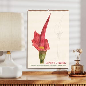 Desert Jewels Wandkalender - Vintage Kaktus Kunst, handkolorierte botanische Illustrationen, Sukkulenten Dekor, antike Pflanzendrucke