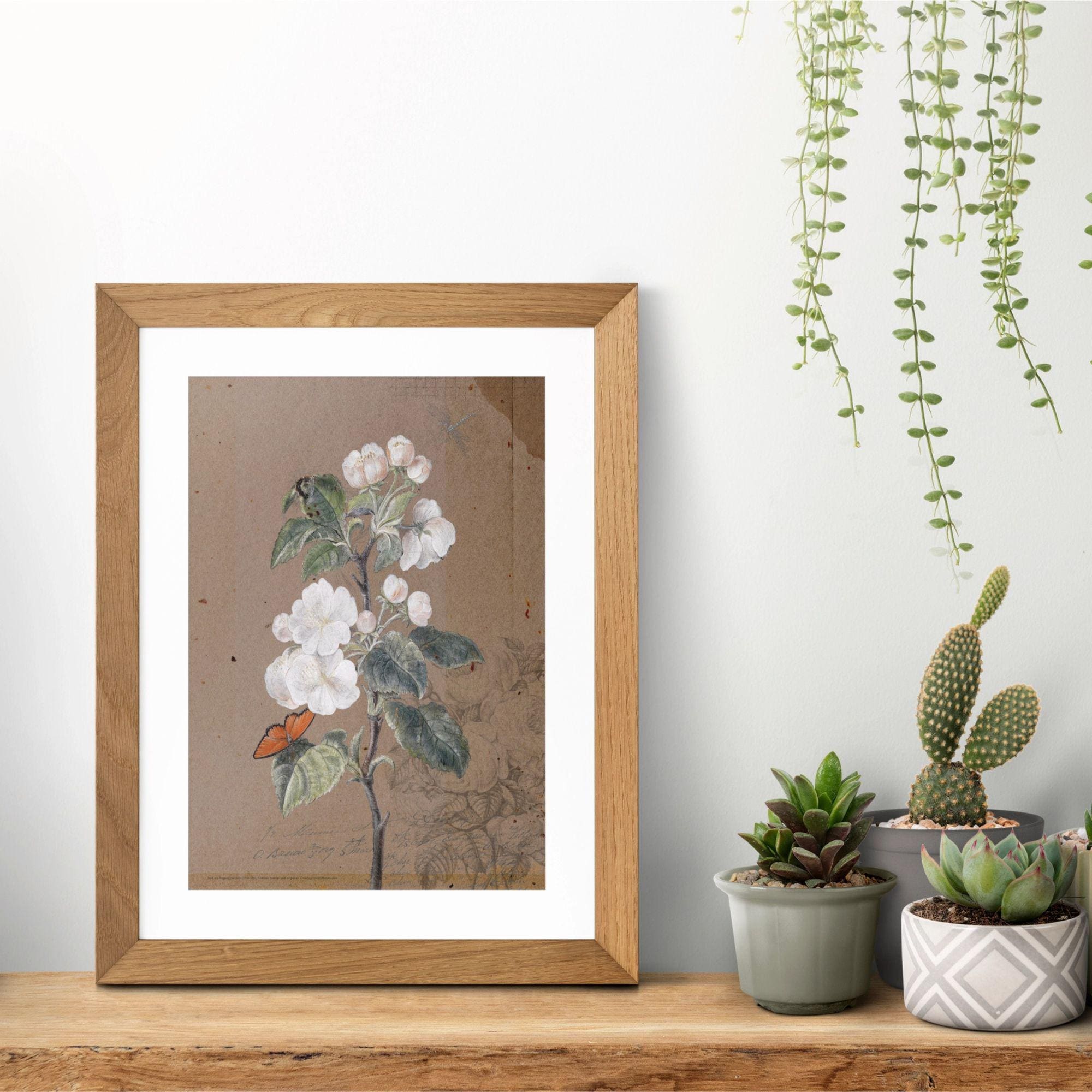 Barbara Regina Dietzsch Antique Botanical Poster – Apple Blossom