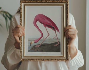 May include: Framed print of a flamingo. The artwork depicts a pink flamingo with its head bent down, standing on a rock near water. The frame is gold with ornate detailing. The flamingo's feathers are a vibrant pink, and the background is a soft, neutral tone.