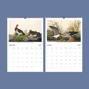 Peut inclure: Calendrier 2027 ouvert sur septembre et octobre, avec des illustrations d'oiseaux. Septembre pr&eacute;sente un oiseau avec des poussins, octobre des oiseaux pr&egrave;s de l'eau. Le fond est bleu.