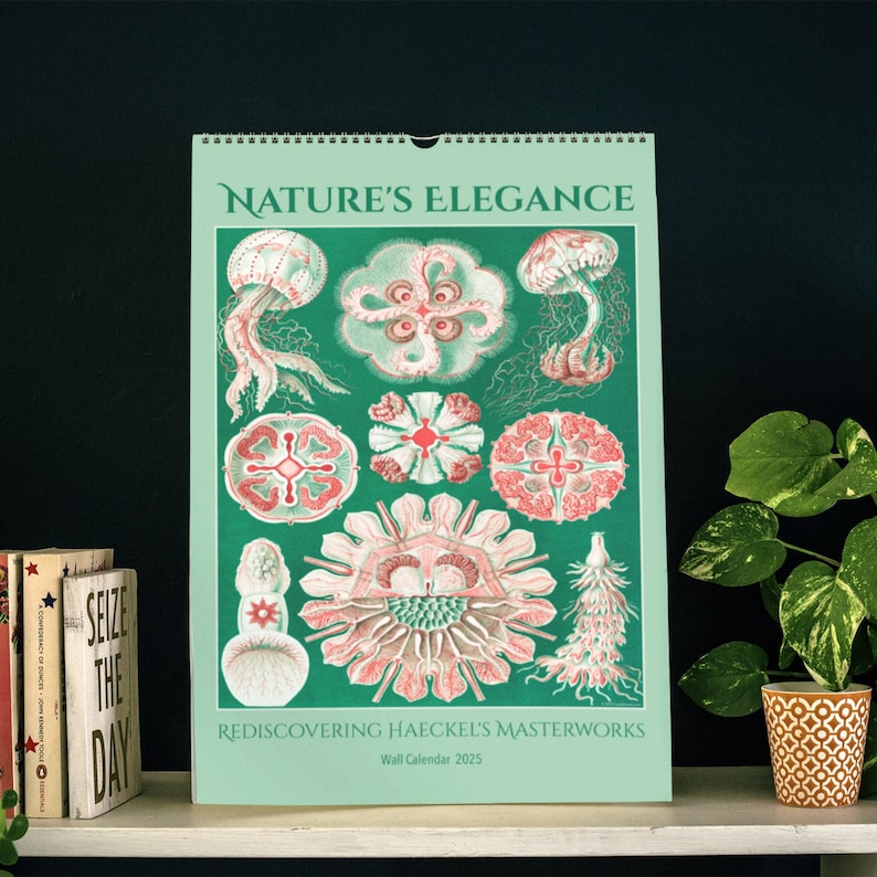 Nature's Elegance Ernst Haeckel 2025 calendar on display, enhancing room decor with vintage scientific illustrations.