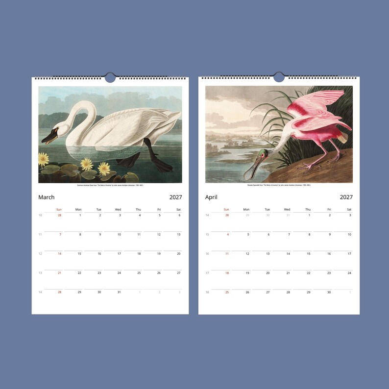 Peut inclure: Calendrier mural &agrave; deux pages avec des illustrations d'oiseaux pour mars et avril 2027. La page de mars montre un cygne blanc dans un &eacute;tang, et la page d'avril repr&eacute;sente un oiseau rose avec un long bec. Le calendrier a un fond bleu.