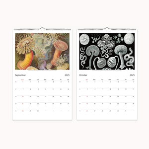 September and October pages of 2025 calendar feature Ernst Haeckel art of jellyfish and coral in detailed illustrations.