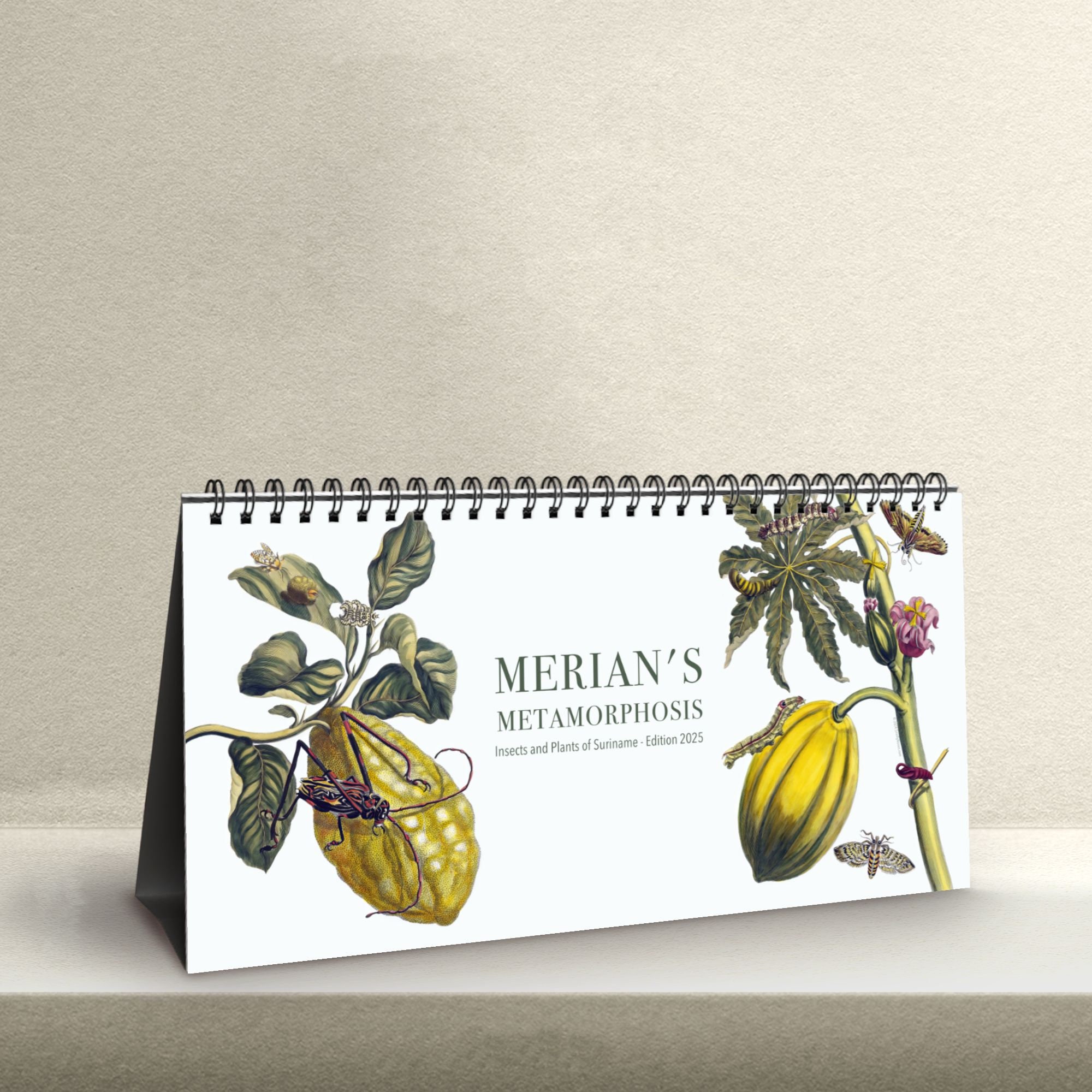 Maria Sibylla Merian-bureaukalender, maandelijks spiraalgebonden organisator, artistiek cadeau voor docenten en historici