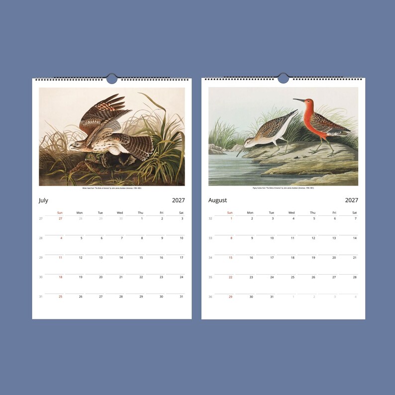 Peut inclure: Calendrier mural 2027 ouvert sur juillet et ao&ucirc;t, avec des illustrations d'oiseaux. Juillet montre un faucon, ao&ucirc;t deux oiseaux pr&egrave;s de l'eau. Fond bleu, reliure spirale.