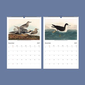 Peut inclure: Calendrier mural 2027 avec illustrations d'oiseaux vintage pour novembre et d&eacute;cembre. Novembre pr&eacute;sente des oiseaux sur une branche, d&eacute;cembre montre un oiseau sur la mer. Le fond est bleu, avec les mois et l'ann&eacute;e 2027 clairement indiqu&eacute;s.