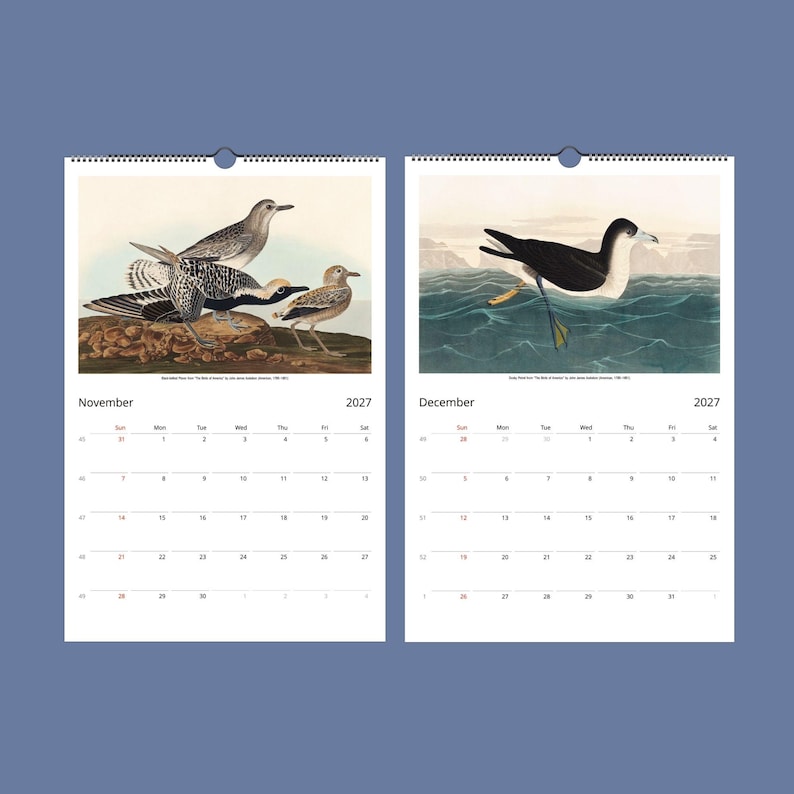 Peut inclure: Calendrier mural 2027 avec illustrations d'oiseaux vintage pour novembre et d&eacute;cembre. Novembre pr&eacute;sente des oiseaux sur une branche, d&eacute;cembre montre un oiseau sur la mer. Le fond est bleu, avec les mois et l'ann&eacute;e 2027 clairement indiqu&eacute;s.