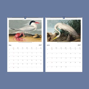 Peut inclure: Calendrier mural 2027 avec des illustrations d'oiseaux. La page de mai montre une sterne et un crabe, et celle de juin, une aigrette blanche. Le calendrier a un fond bleu et un anneau m&eacute;tallique pour l'accrocher.