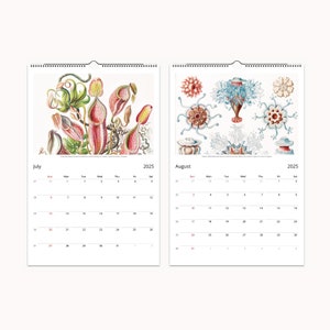 July and August from 2025 Ernst Haeckel calendar display exotic carnivorous plants and intricate sea organisms.