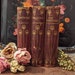 see more listings in the Antique/Vintage Books section