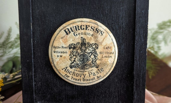 Antique Burgess's Genuine Anchovy Paste in solid … - image 8