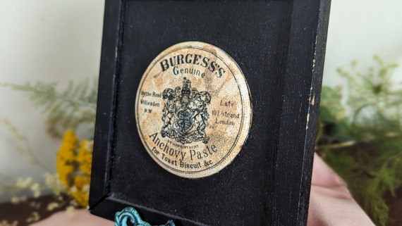 Antique Burgess's Genuine Anchovy Paste in solid … - image 6