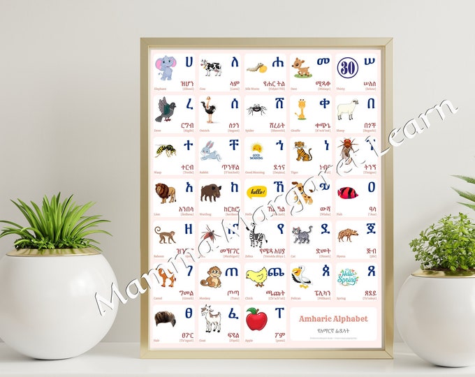 AMHARIC Alphabet CHART With Words and English Translations Printable ...
