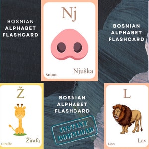 May include: Flashcards featuring the Bosnian alphabet. Each card displays a letter with an associated image and word in Bosnian and English. Includes illustrations of a sweater, snout, airplane, giraffe, and lion.