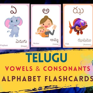 Telugu alfabet FLASHCARD met afbeelding, klinkers en medeklinkers, Telugu leren, Telugu Letter Flashcard, Telugu taal digitale download