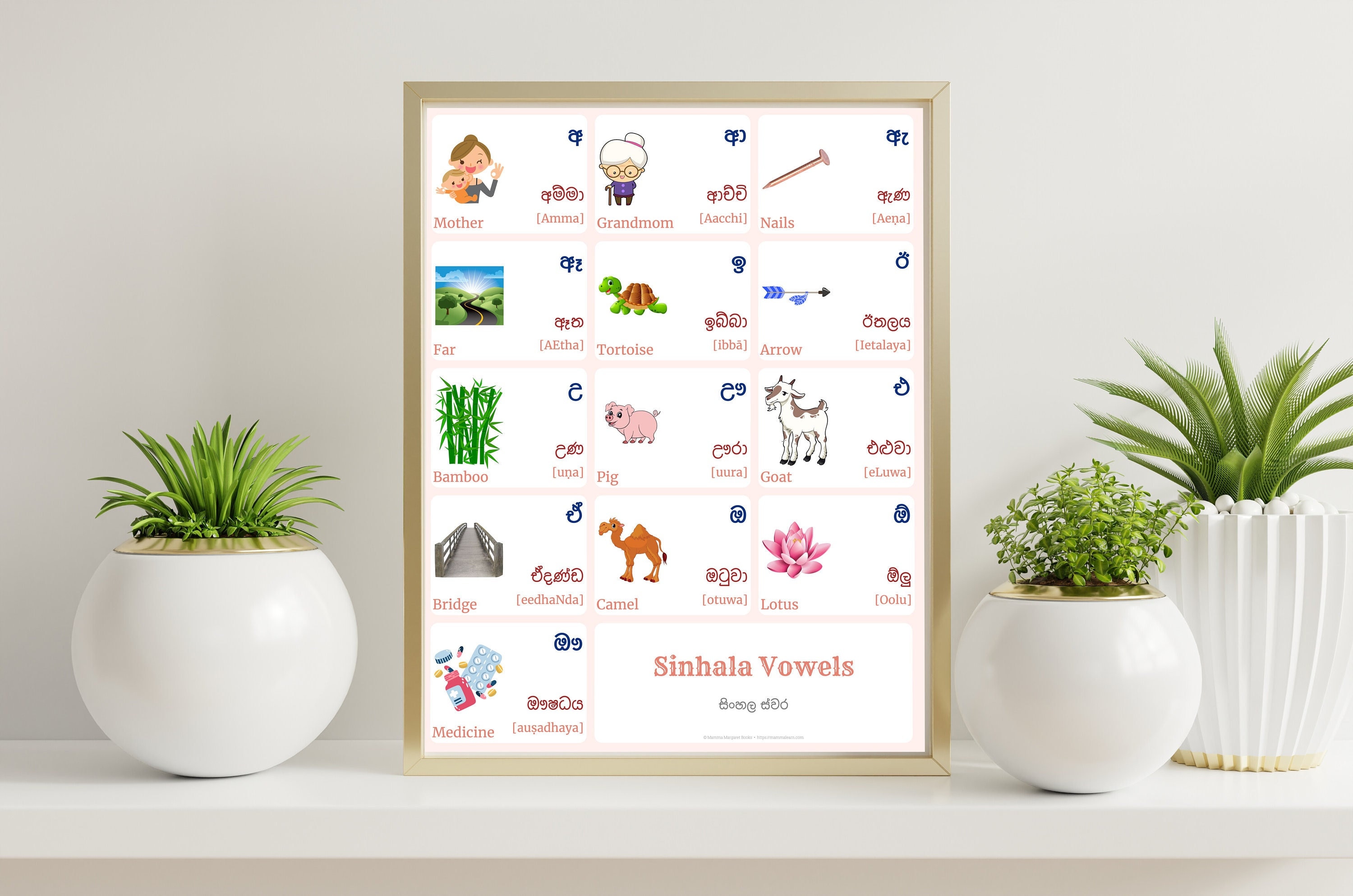 SINHALA Alphabet vowels CHART With Words and English Translations