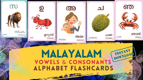 Malayalam Alphabet FLASHCARD Both Vowels and Consonants 