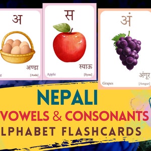 Nepali Alphabet FLASCHENKARTE - Vokale und Konsonanten, Nepali lernen, nepalesische Buchstaben Flashcard, nepalesische Sprache, digitaler Download