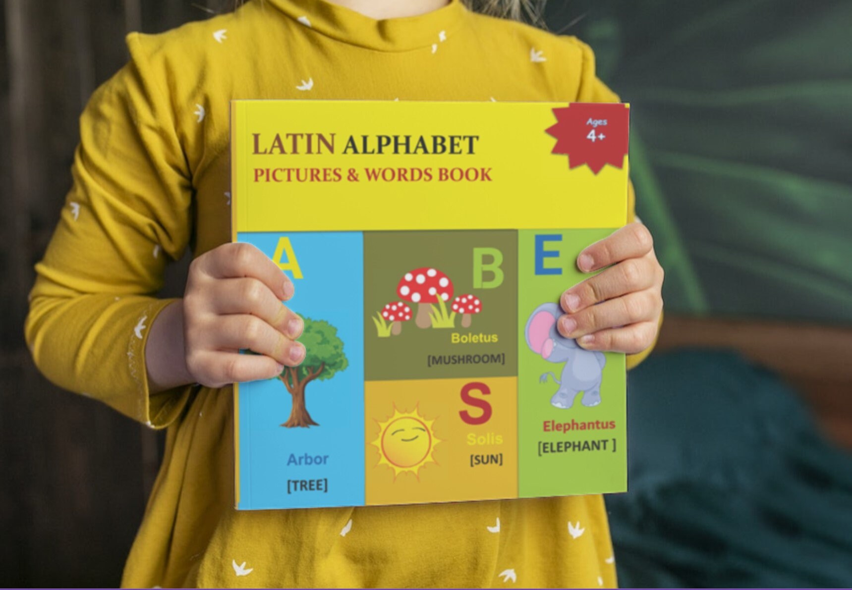 Latin Childrens Book latin English First 100 Words and Picture Book
