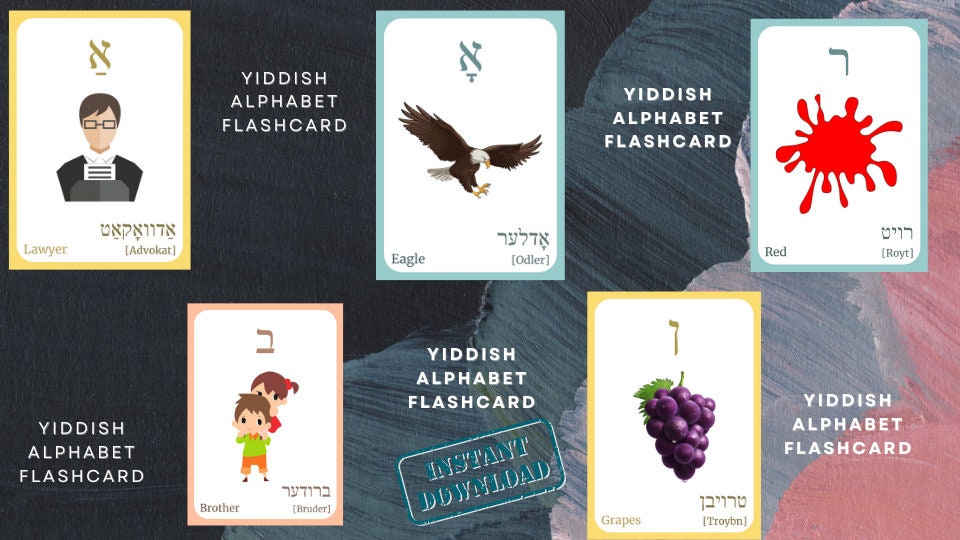 YIDDISH Alphabet FLASHCARD With Picture, Learning Yiddish, Yiddish