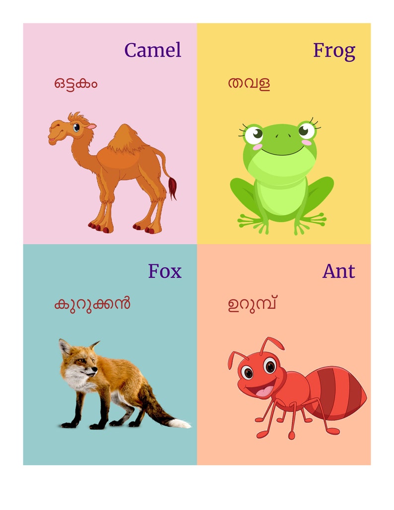 Malayalam Alphabet letter Tracing Picture Numbers and Etsy