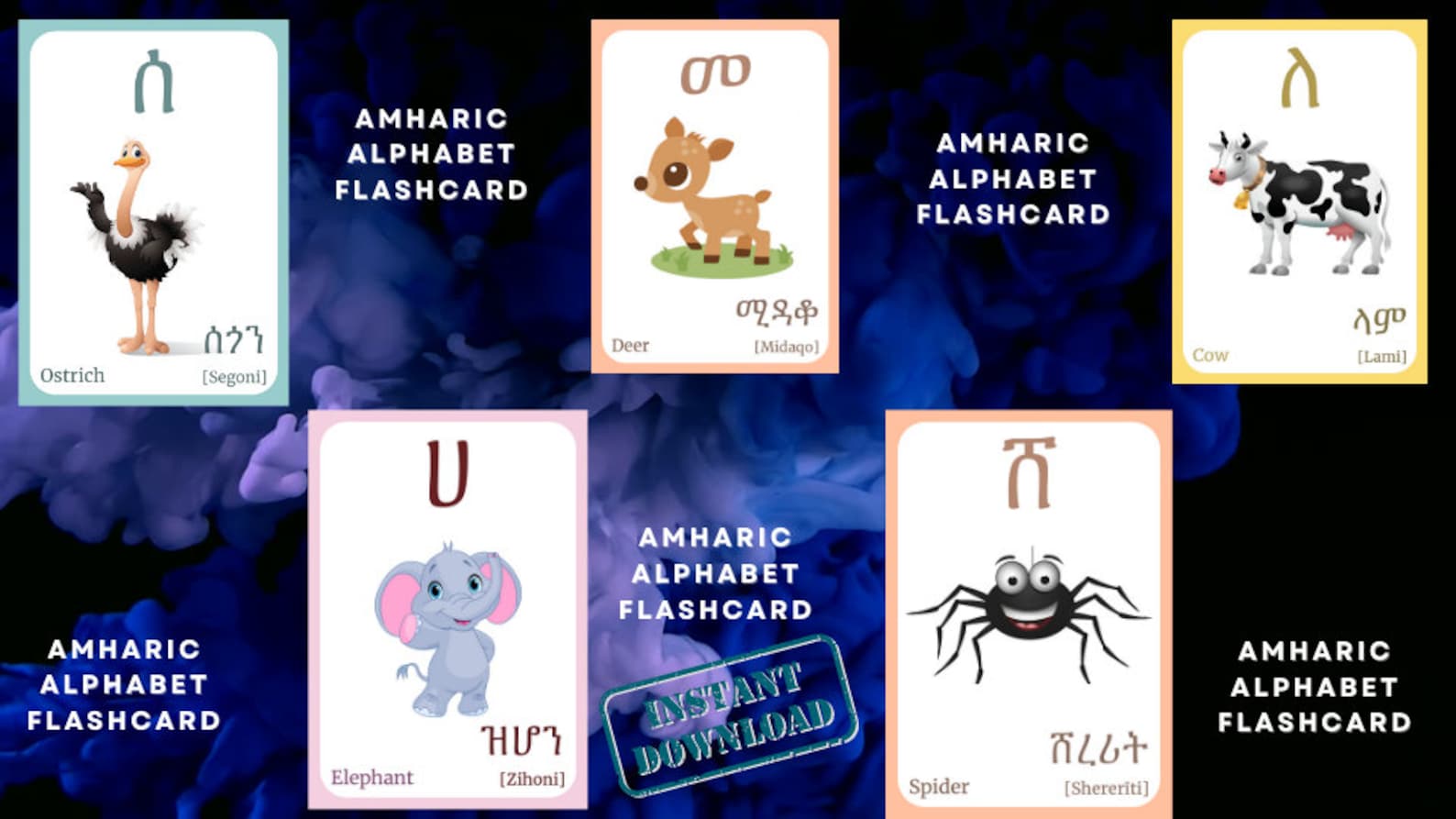 AMHARIC Alphabet FLASHCARD With Picture, Learning AMHARIC, Amhari