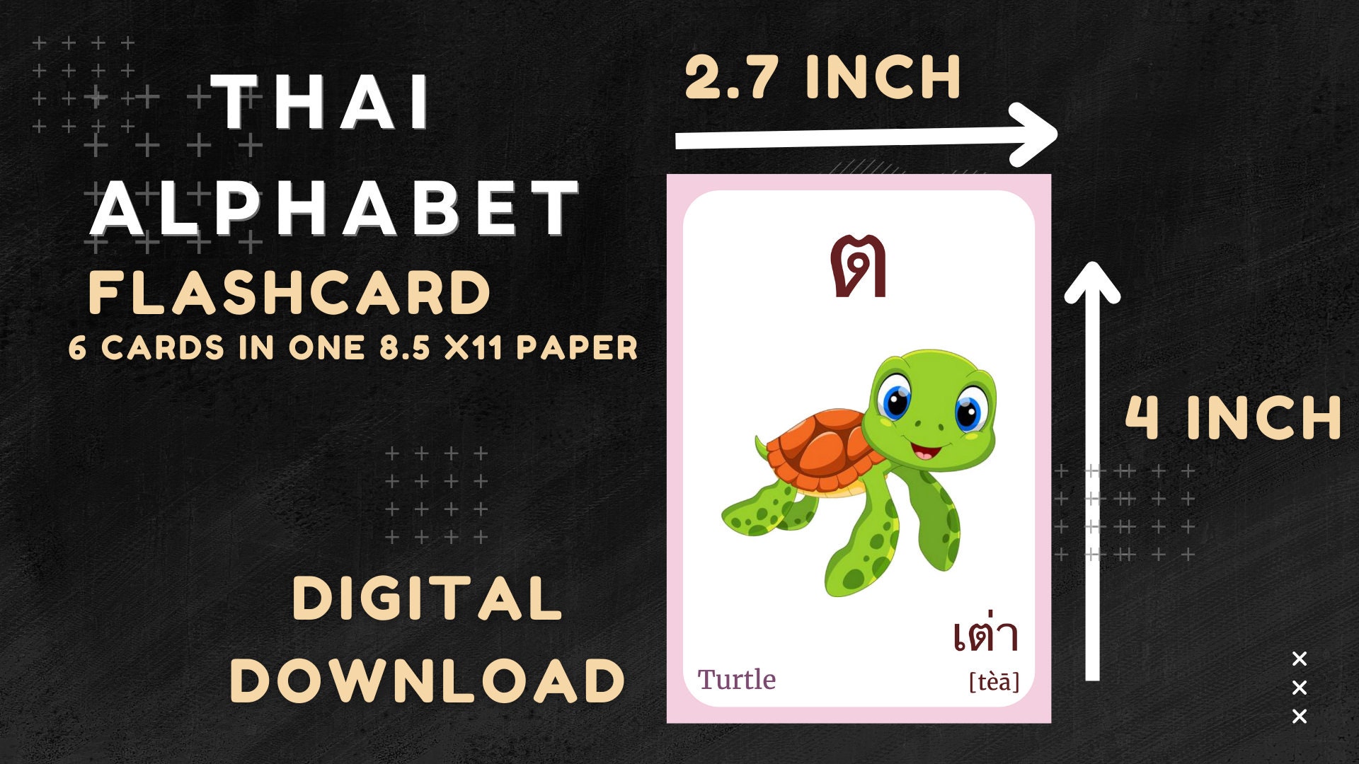 THAI Alphabet FLASHCARD With Picture, Learning THAI, Thai Letter