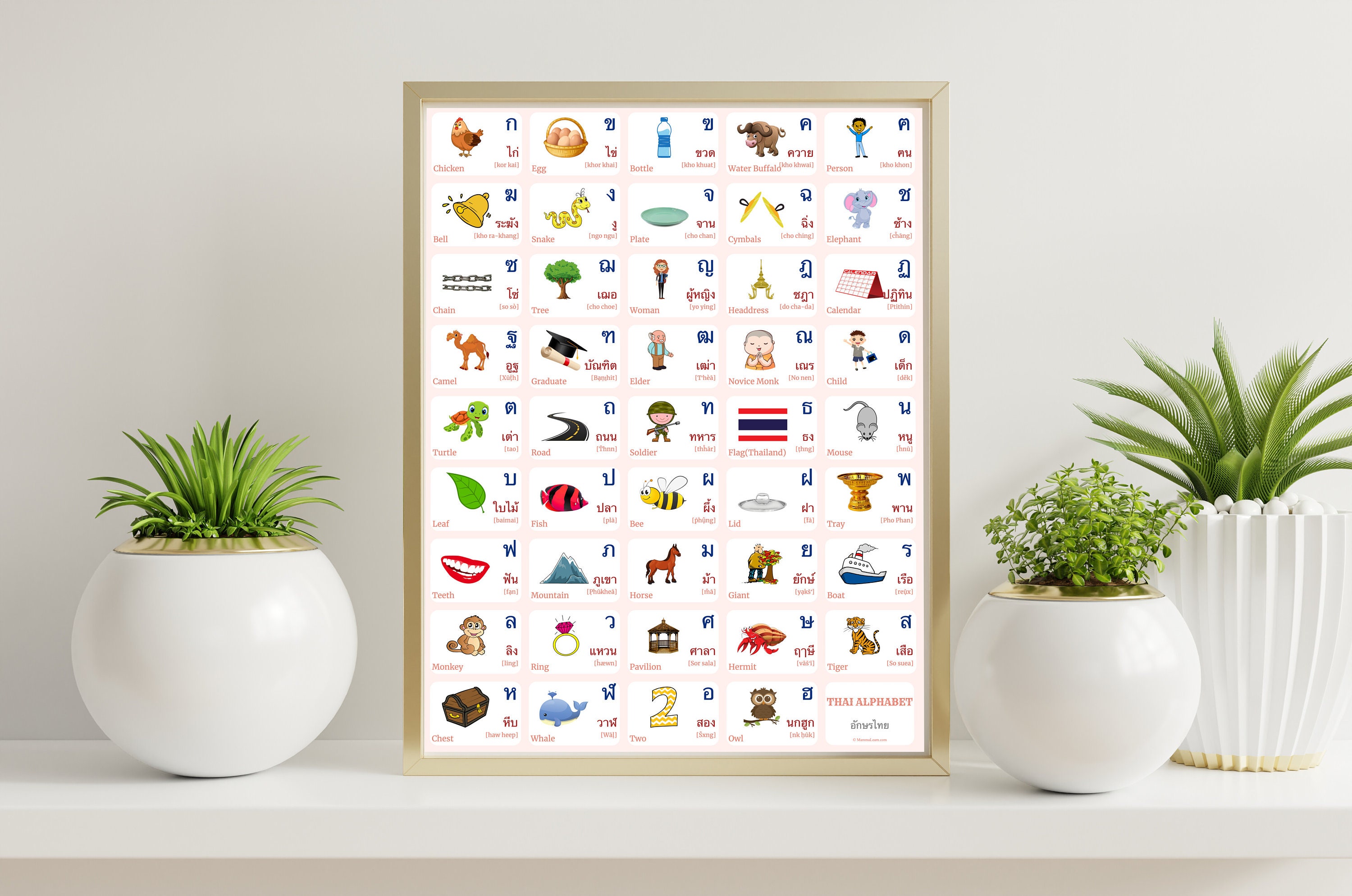 THAI ALPHABET POSTER Thai Alphabet Poster Words and English Etsy Hong