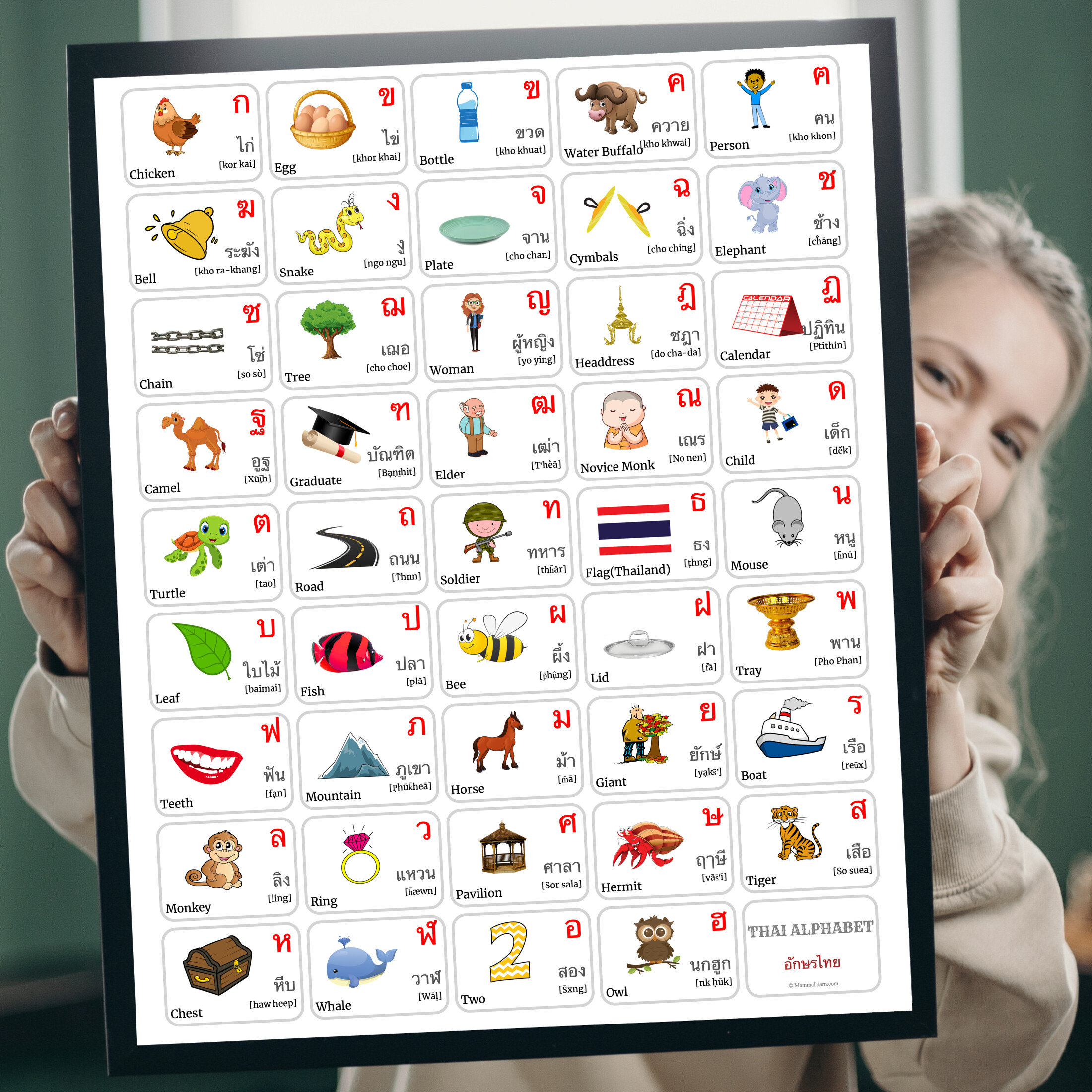 THAI ALPHABET POSTER, Thai Alphabet Poster Words and English