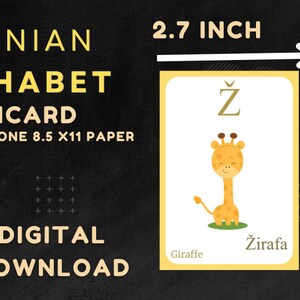 May include: Bosnian alphabet flashcard with a giraffe illustration. The card is 2.7 inches wide and 4 inches tall. The text on the card includes the letter Ž, the word "Giraffe", and "Žirafa". The image also includes the text "Bosnian Alphabet Flashcard" and "Digital Download".