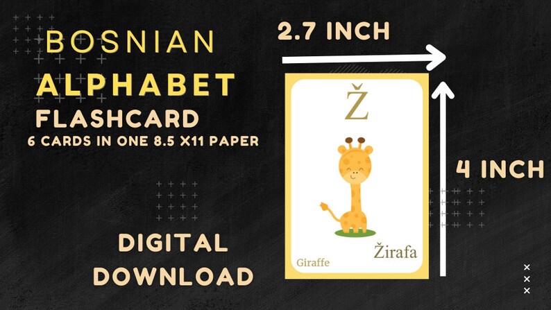 May include: Bosnian alphabet flashcard with a giraffe illustration. The card is 2.7 inches wide and 4 inches tall. The text on the card includes the letter Ž, the word "Giraffe", and "Žirafa". The image also includes the text "Bosnian Alphabet Flashcard" and "Digital Download".